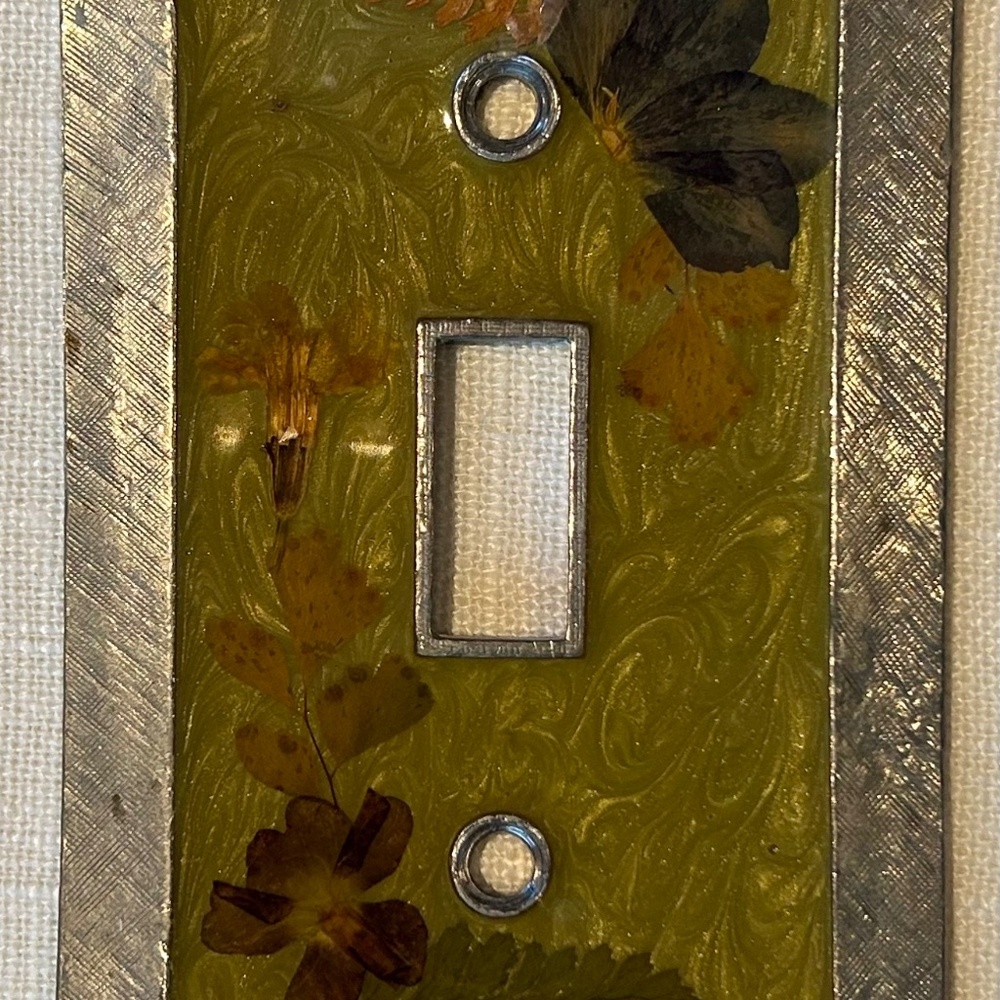 Anthropologie Switch Plate